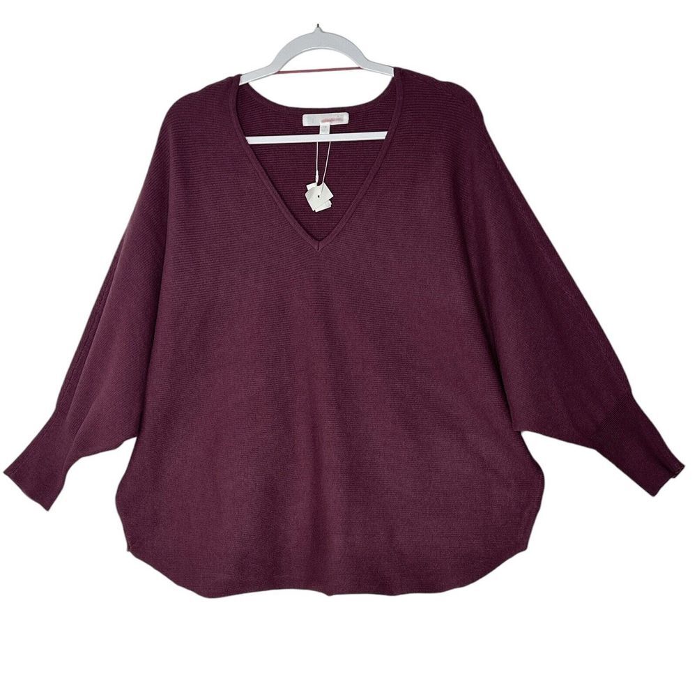 Adyson Parker Sweater Top Women 1X Dolman Sleeve Plus V-neck Corpcore Modern New